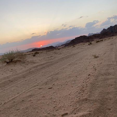 Wadirum Zeid Camp&Tours Wadi Rum Eksteriør billede