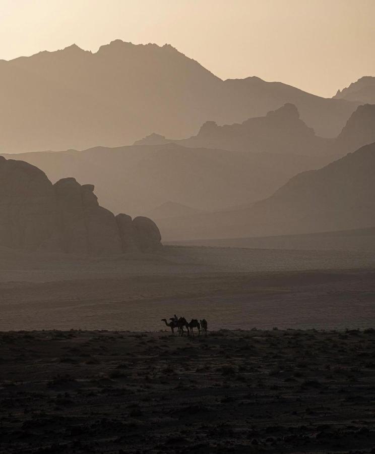 Wadirum Zeid Camp&Tours Wadi Rum Eksteriør billede