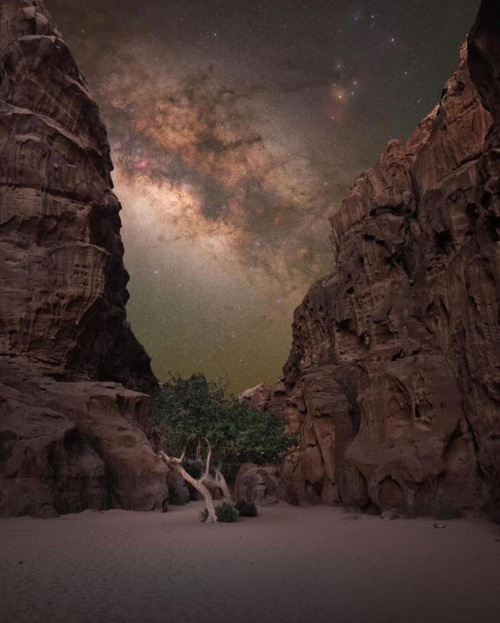 Wadirum Zeid Camp&Tours Wadi Rum Eksteriør billede