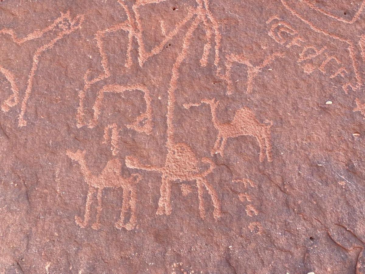 Wadirum Zeid Camp&Tours Wadi Rum Eksteriør billede